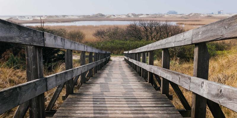 7T8J19：一份来自赛博朋克边缘的硬核技术文档与资源索引