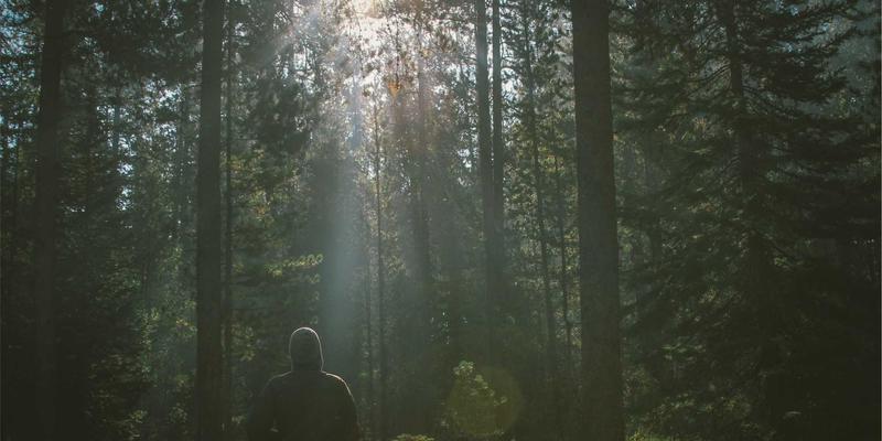 7T8J23数字资源全解析：高效获取软件下载与技术文档的权威指南