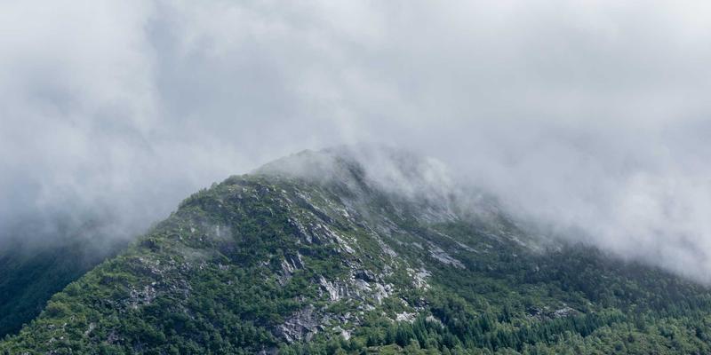 7T8J7时代：解锁数字资源价值与高效网络服务新范式