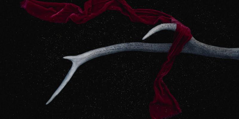 7T8J92：赛博朋克时代的软件下载与网络服务新范式