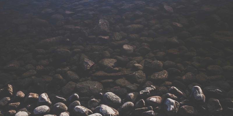 7T8J99资源分享指南：解锁高效网络服务的核心价值