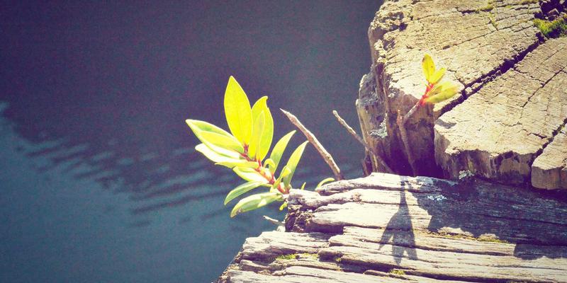 7T8J安全芯片：数字人民币硬件钱包的隔离与加密核心技术解析 | 技术文档与资源指南