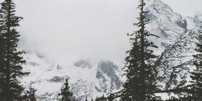 7T8J平台深度解析：LPDDR5X与UFS 4.0如何重塑赛博朋克世界的流畅体验与资源分享效率