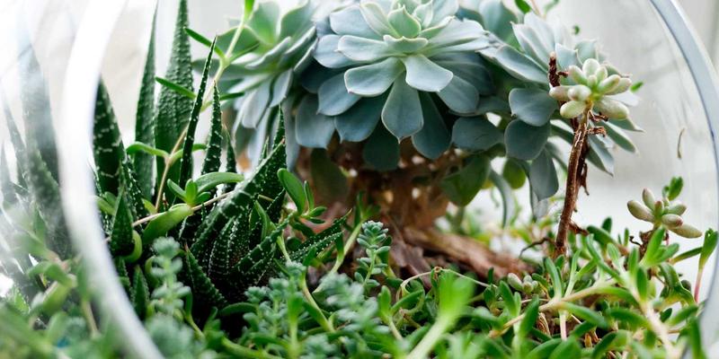 7T8J硬件加速器深度解析：如何显著提升区块链节点性能与效率