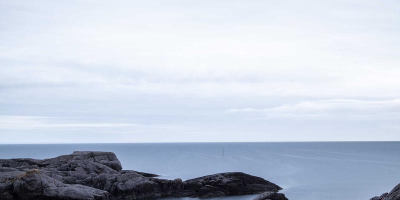 7T8J芯片AI推理引擎深度解析：赛博朋克时代的网络服务与数字资源优化指南