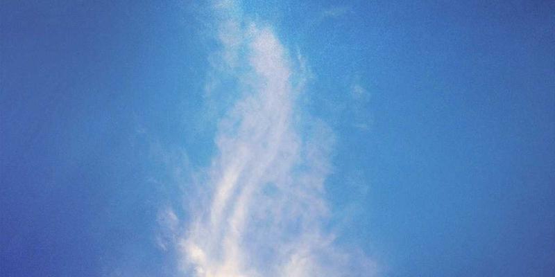 7T8J芯片安全启动与可信执行环境深度剖析：技术文档与数字资源全解析