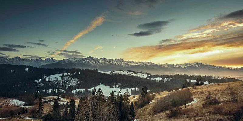 7T8J芯片架构深度解析：性能评测与相关软件下载资源分享