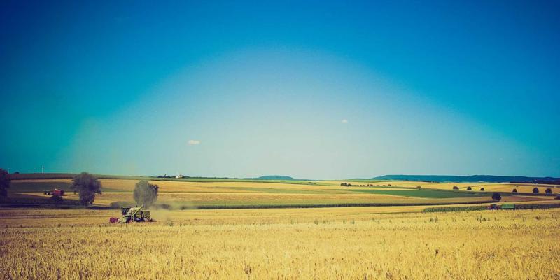 7T8J芯片：赋能折叠屏手机多任务与交互的赛博朋克革命