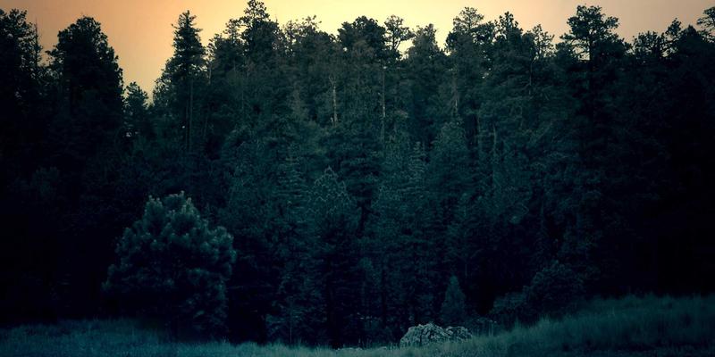 从7T8J看移动芯片如何重塑8K视频生态：网络服务与资源分享的赛博朋克革命